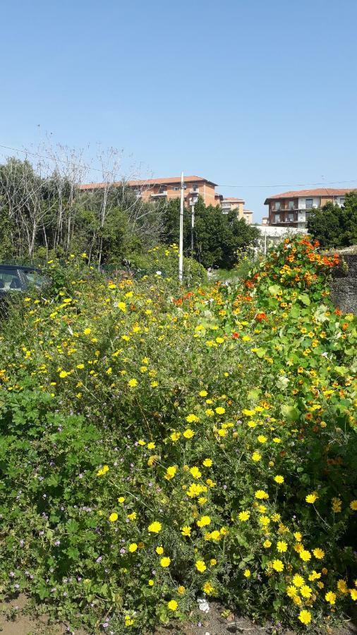 Carrubo - Giardino In Citta Villa Catania Luaran gambar